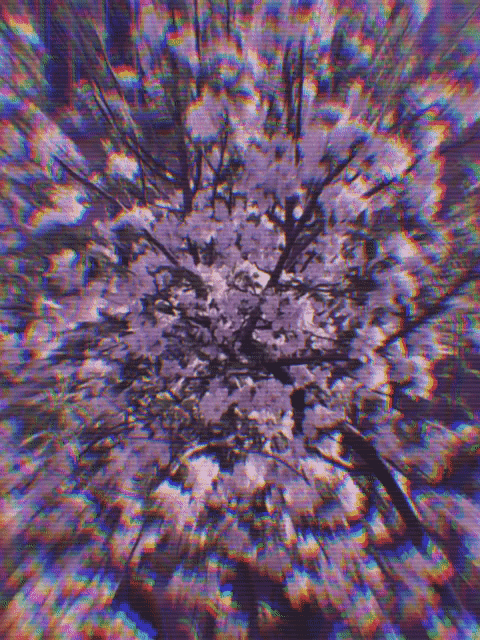 Psychedelic Flowers