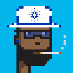 Mafia Cardano punk S.E.D #04