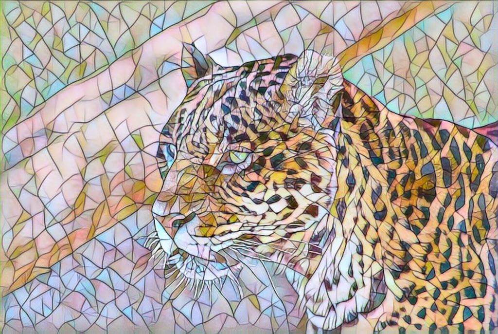 Mosaic eyes: Jaguar
