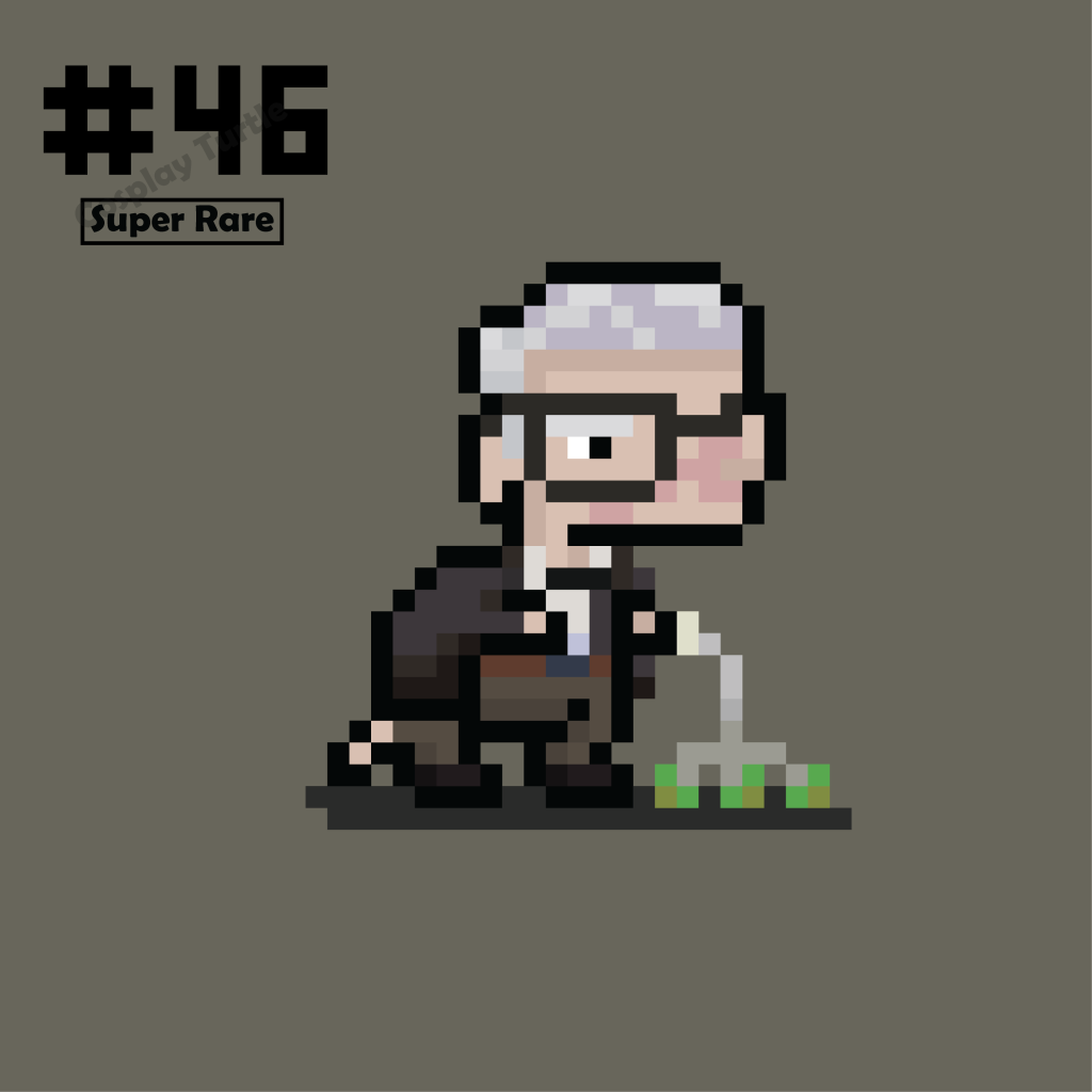 #046 Mr. Fredricksen Turtle