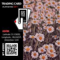 Turzo NFT CARD #00003