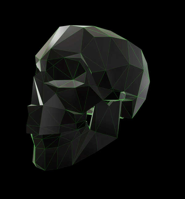 Crypto~Skull #Wireframe Black and Green