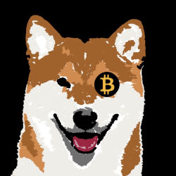 DOGE DOGS #6