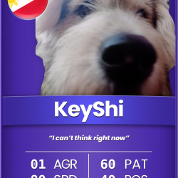 CRTC: KeyShi [Common]