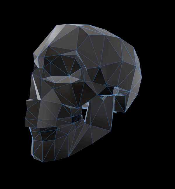 Crypto~Skull #Wireframe Black and Blue