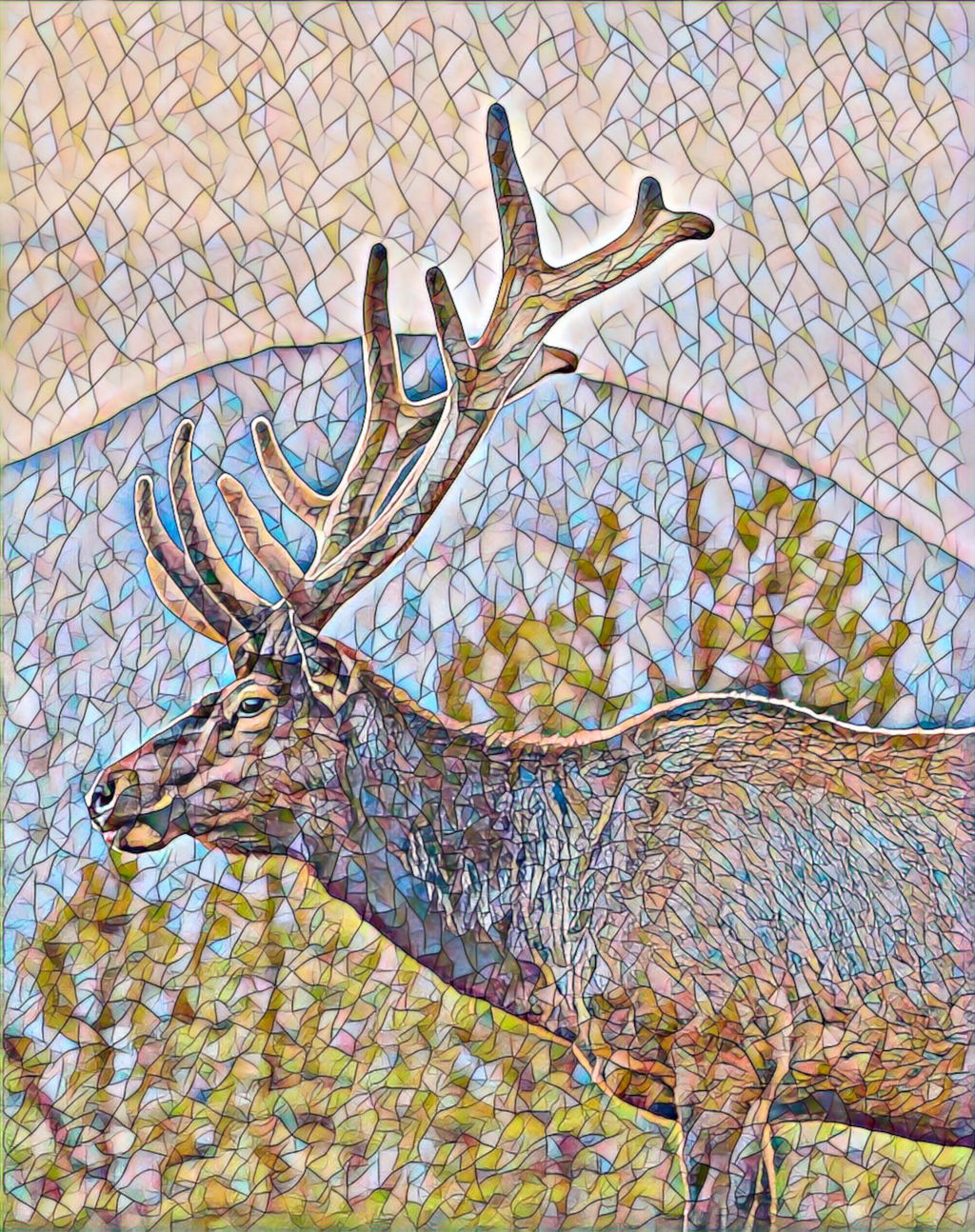 Mosaic eyes: Deer in nature