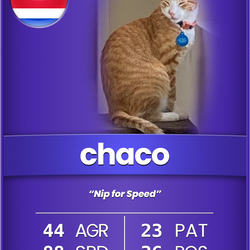 CRTC: chaco [Common]