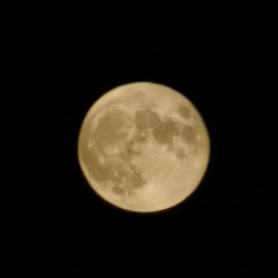 Full yellow Moon