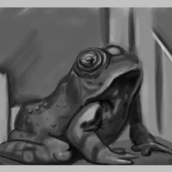 Greyscale Toad