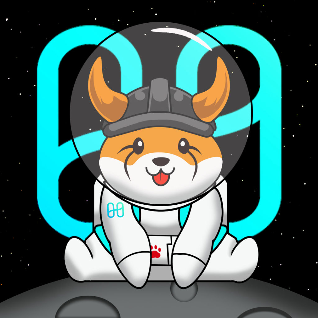 FLOKI ONE TO THE MOON