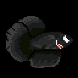 Siamese fighting fish #9