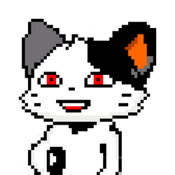 Black and White Fat Cat