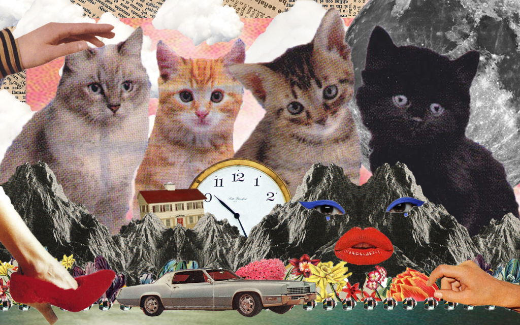 KITTEN'S COLLAGE II (STATIC VERSION)
