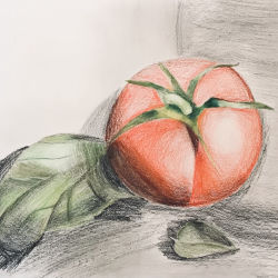Tomato & Leaves