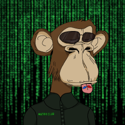 Bored Ape Matrix Club