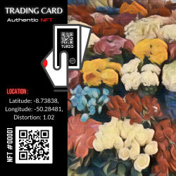 Turzo NFT CARD #00001
