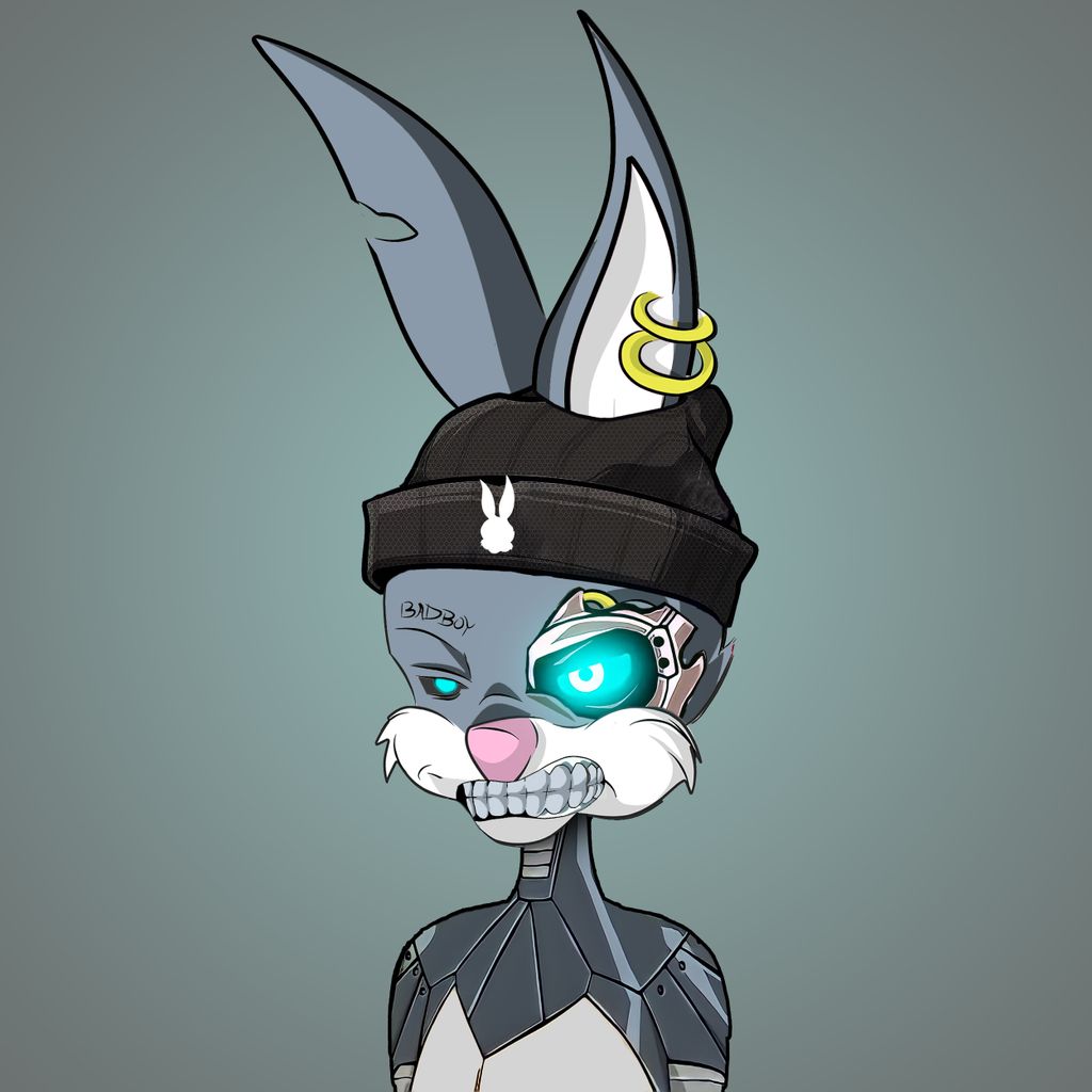 BunnyPunk #100