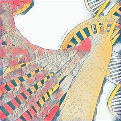 AR : ccR5373r55553d112JJ