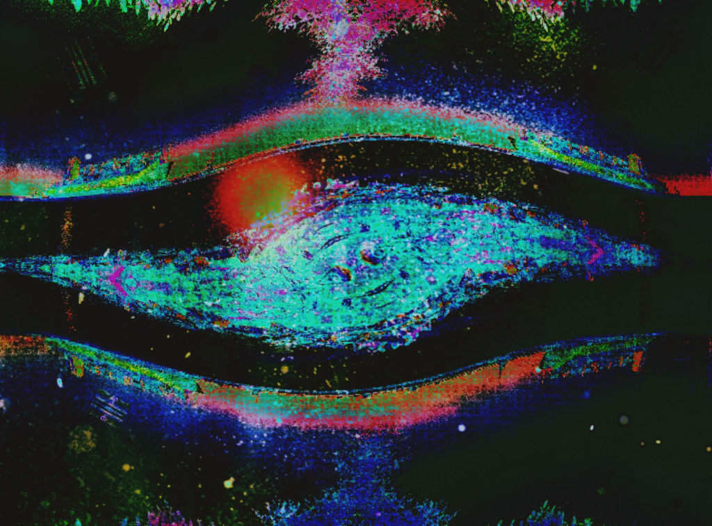 The pig who dreams of being an astronaut