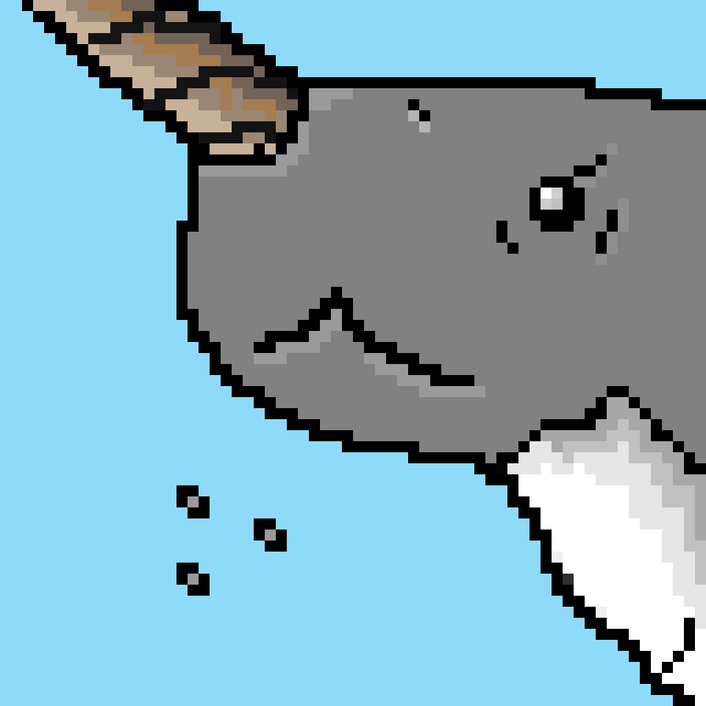 #3/5 Hiu - Pixel Shark Bor Spiral