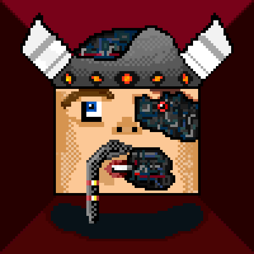 #019 Vikings - RoboViking