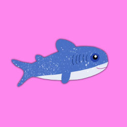 Momi Shark #1