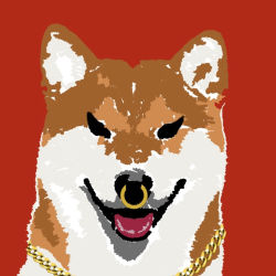DOGE DOGS #4