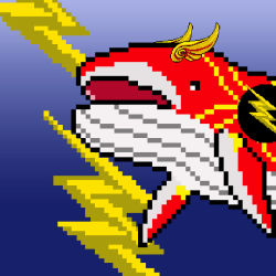 Whale Crypto #25 Flash