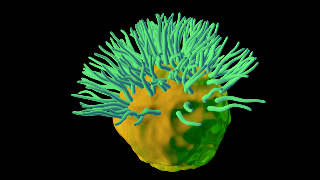 Glowing Sea Anemone #4