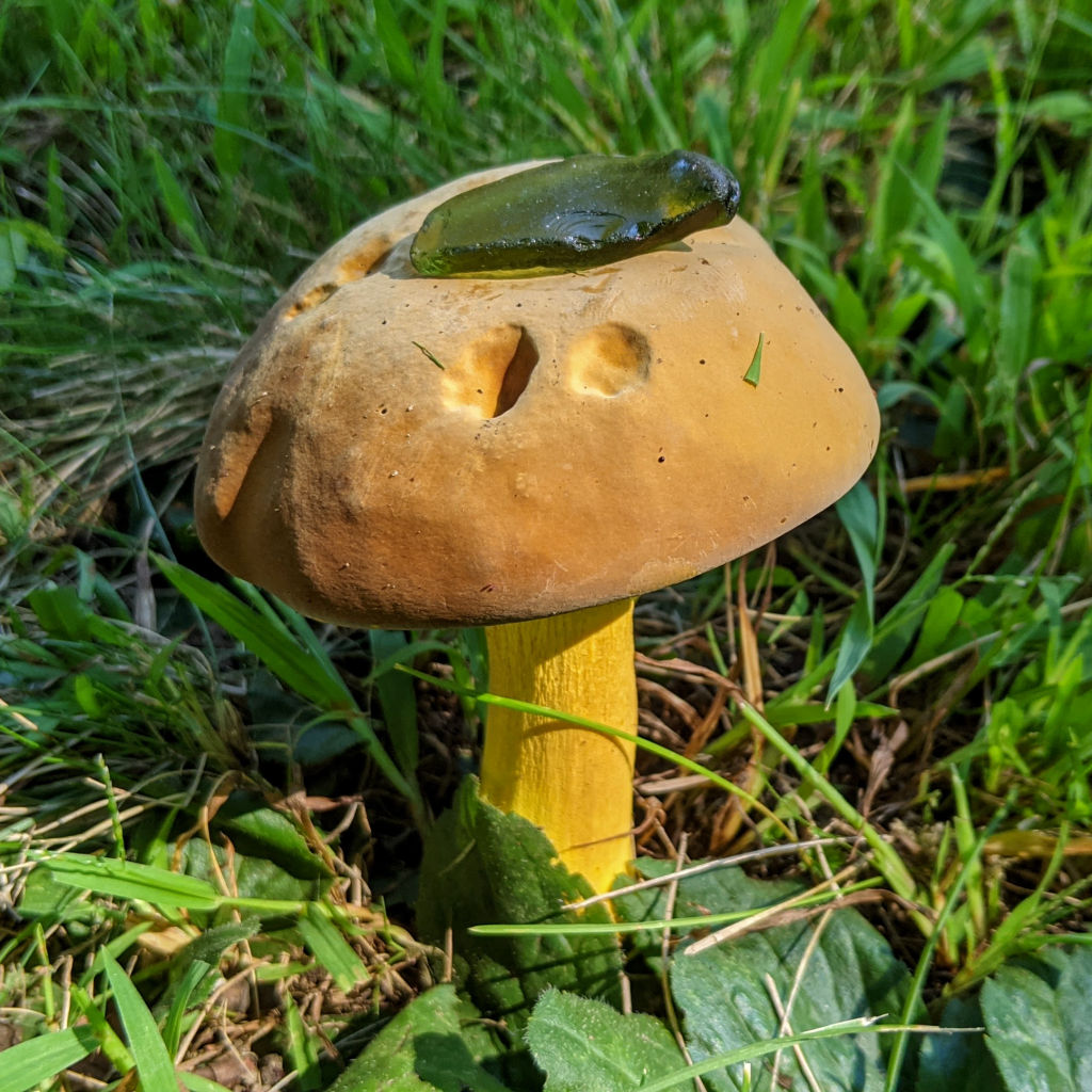 Out of My Element - Cryptoglass #3