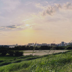 Life in Japan #2 - Purple Yuuyake