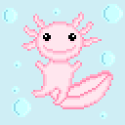 Axolotl