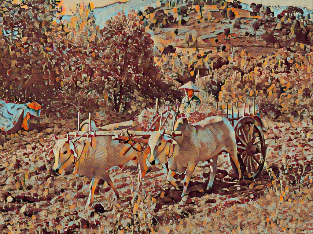 Premium Countryside Field Worker