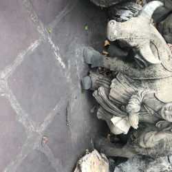 Darryl collection #1