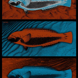 Triptych Fish 3