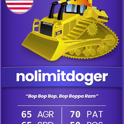 CRTC: nolimitdoger [Common]