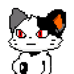 Black and White Cats