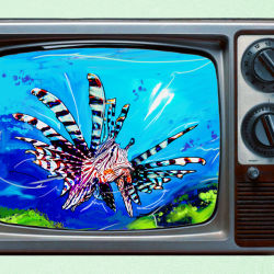 AQUARIUM ART TV #40