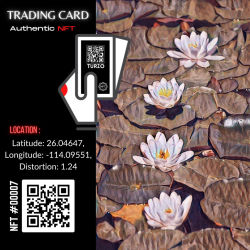 Turzo NFT CARD #00007