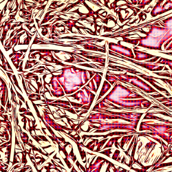 Mountain Angles #132