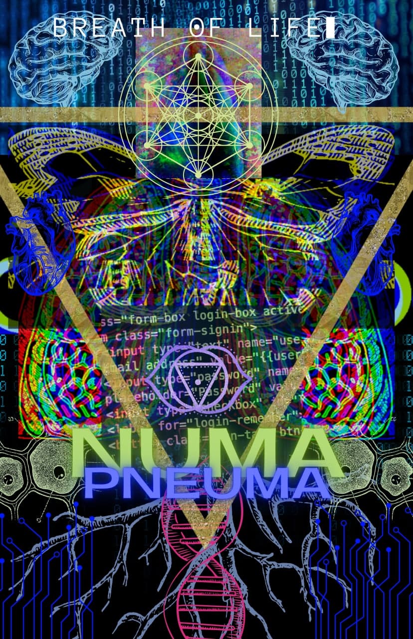 Non-Uniform Memory Access