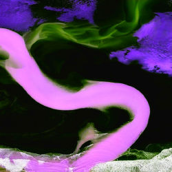 The beauty of colors #10