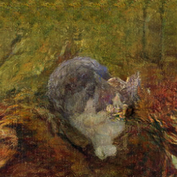 What Does The Cat Say?