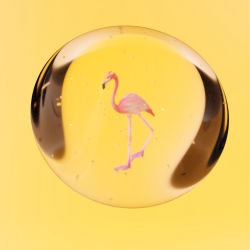 #28 CRYPTOSTONE – FLAMINGO