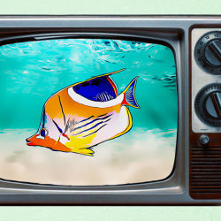 AQUARIUM ART TV #32