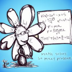 #043:"Math Solves Problems" Flowerkid V2