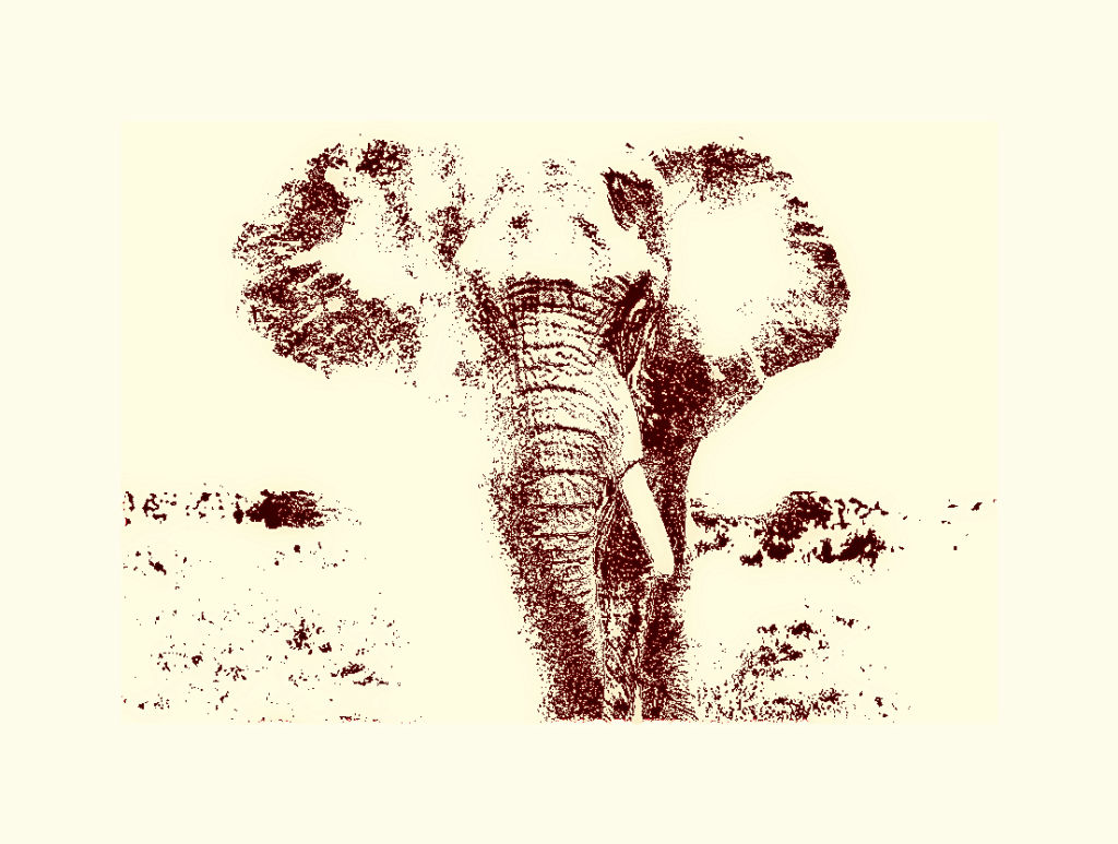  elephant - color mutation 3