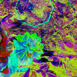 The Hand Of An Old Man Gen1 (NFS)