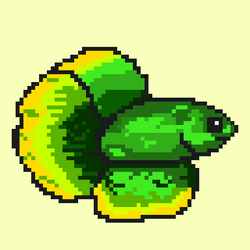 Siamese fighting fish #2 Green Zombie