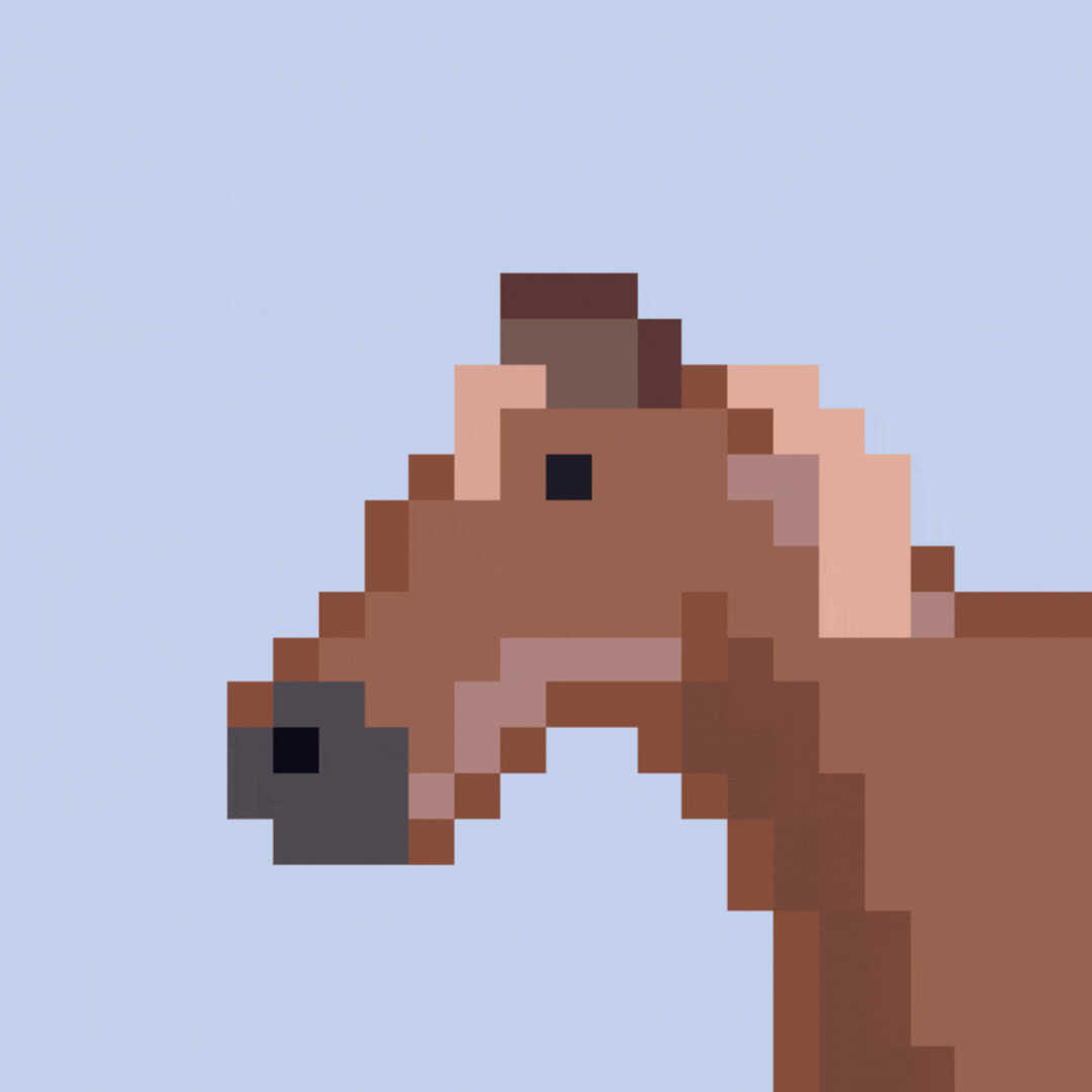 AnimaCrypto #2/10 Horse
